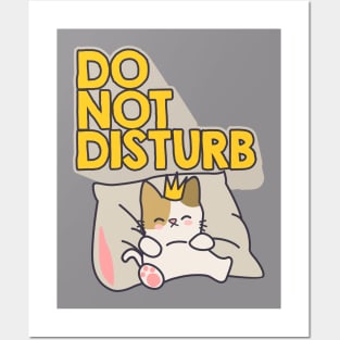 Do not disturb Posters and Art